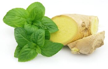 Ingvers un piparmētra kā produkta sastāvdaļa